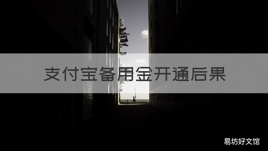支付宝备用金开通后果 新开通的支付宝有备用金吗