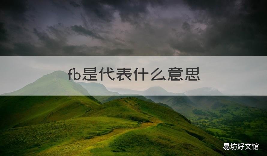 fb是代表什么意思 Fb是什么意思