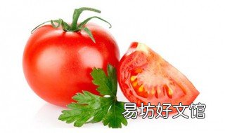 蔬菜种植时间表 湖南蔬菜种植时间表