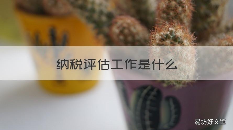 纳税评估工作是什么 纳税评估工作是什么意思