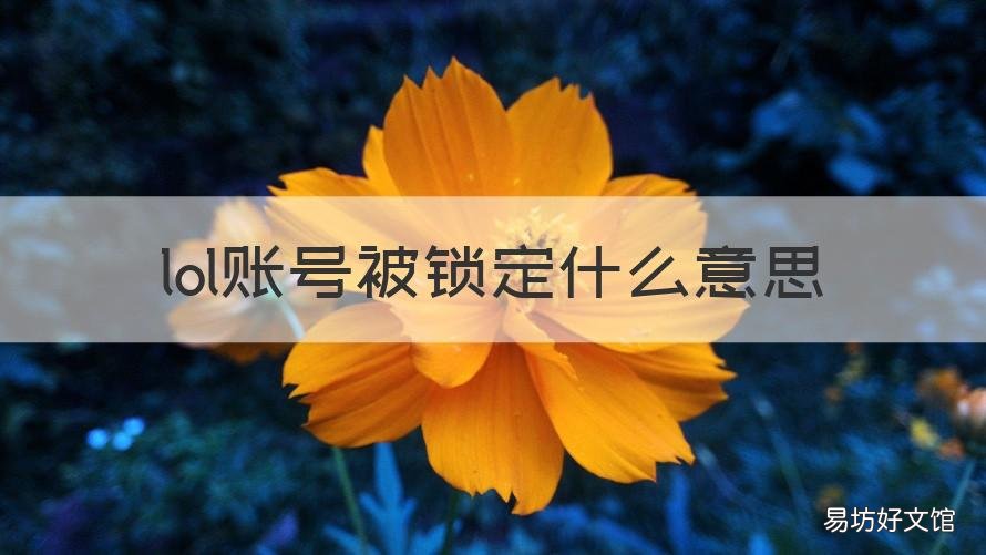 lol账号被锁定什么意思 lol锁定了怎么解锁