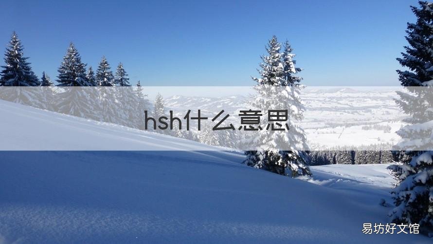 hsh什么意思 hsh什么意思网络用语