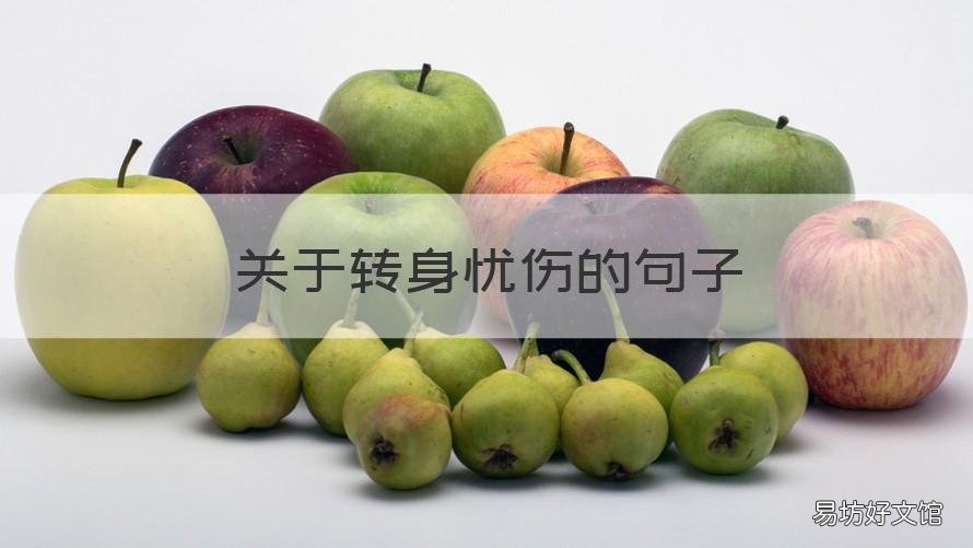 关于转身忧伤的句子 关于转身忧伤的句子有哪些