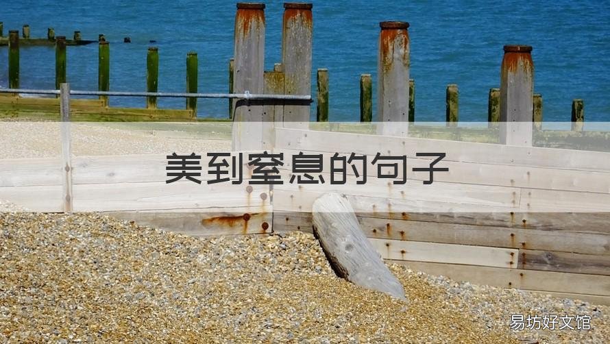 美到窒息的句子 美到窒息的句子作文