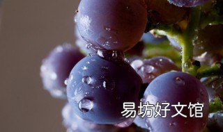 辽峰葡萄缺点是什么 辽峰葡萄的优缺点