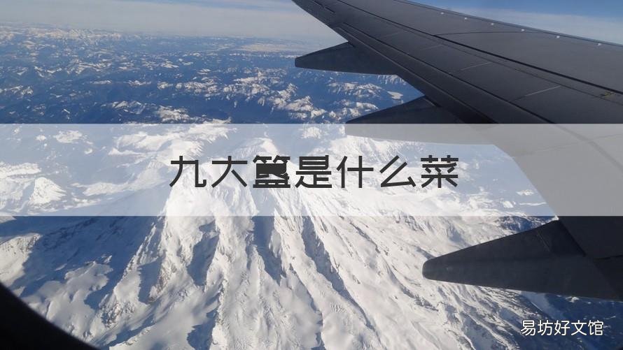 九大簋是什么菜 广州九大簋是什么菜