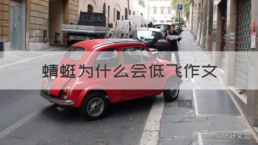 蜻蜓为什么会低飞作文 为什么蜻蜓会低飞呢