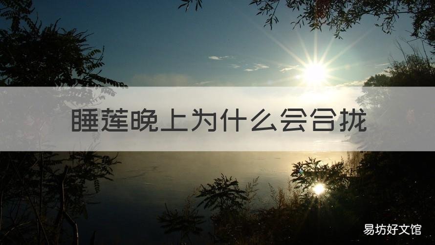 睡莲晚上为什么会合拢 睡莲晚上为什么会合拢后第二天还会再开吗?