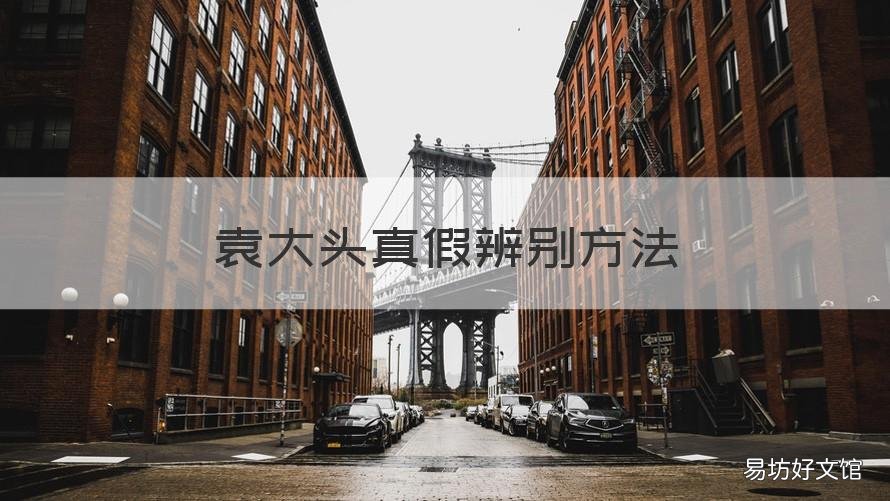 袁大头真假辨别方法 袁大头真假辨别方法图文版