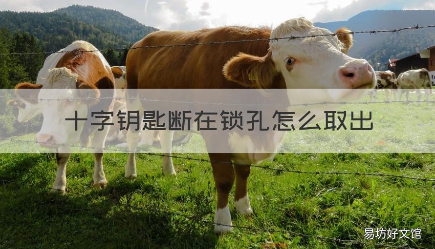 十字钥匙断在锁孔怎么取出 十字钥匙断在锁孔里怎么取出