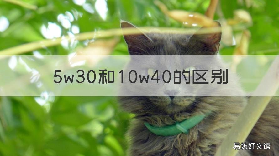 5w30和10w40的区别 5w30和10w40的区别大吗