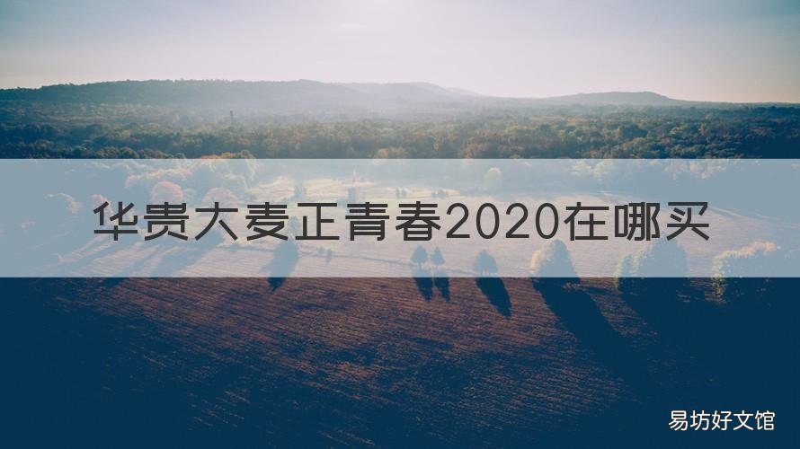华贵大麦正青春2020在哪买 华贵大麦2020:价格极低的背后有些缺陷!