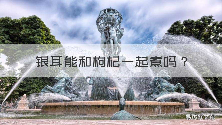 银耳能和枸杞一起煮吗 枸杞可以跟银耳一起煮的吃吗