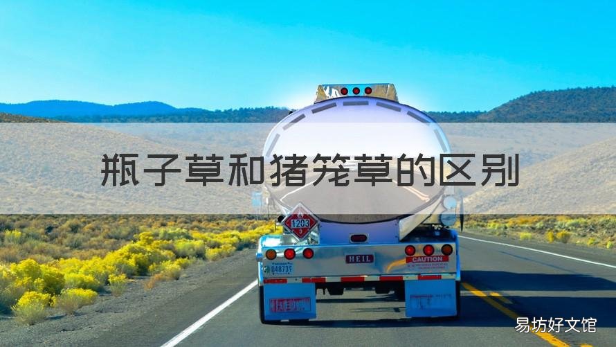 瓶子草和猪笼草的区别 除了猪笼草还有什么草
