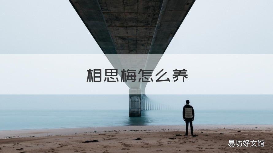 相思梅怎么养 家里适合养相思梅吗