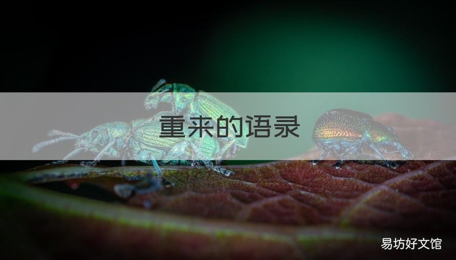 重来的语录 重来的语句