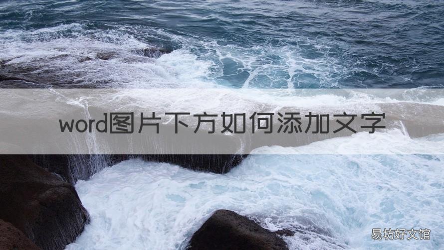 word图片下方如何添加文字 怎么在word图片上方添加文字