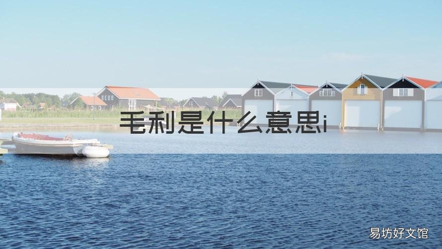毛利是什么意思i 毛利是什么意思计算公式