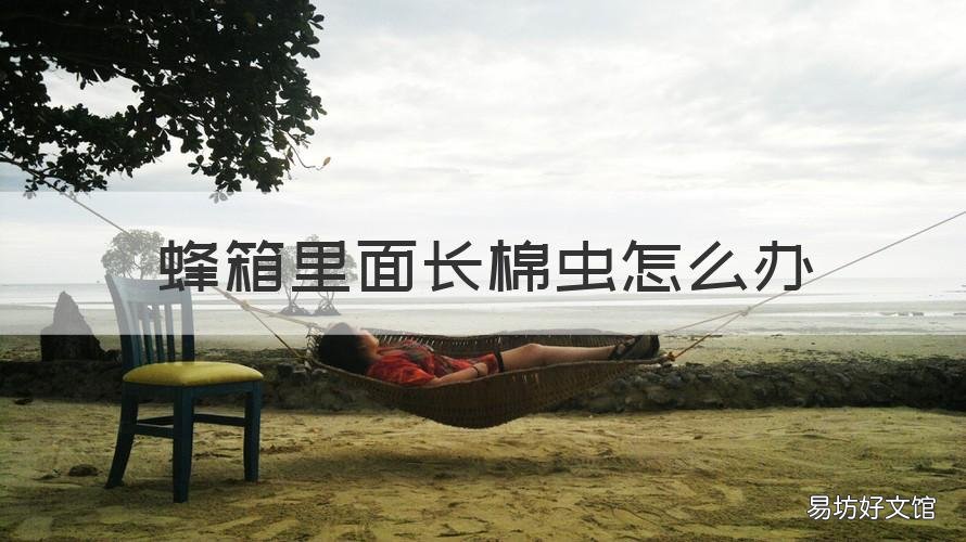 蜂箱里面长棉虫怎么办 蜂箱有棉虫怎么办