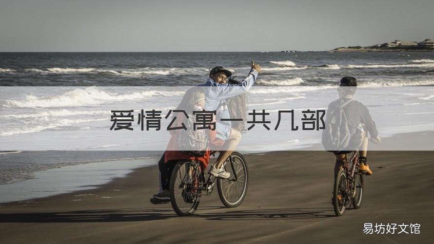 爱情公寓一共几部 爱情公寓一共几个主角