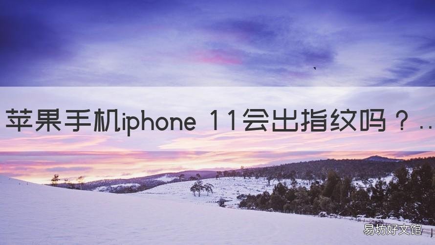 苹果手机iphone 11会出指纹吗 苹果11有手机指纹吗