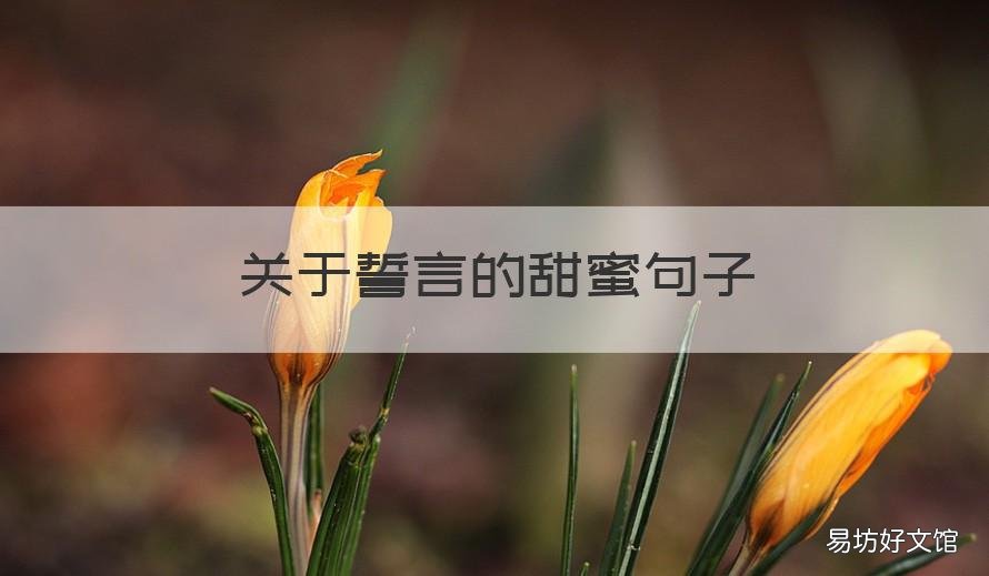 关于誓言的甜蜜句子 赞美誓言的的句子