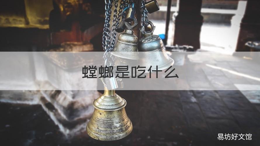 螳螂是吃什么 螳螂是吃什么的昆虫