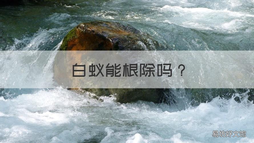 白蚁能根除吗 怎么根除白蚁