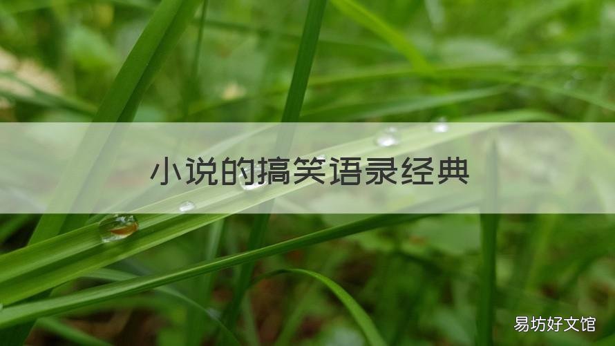 小说的搞笑语录经典 小说的搞笑语录经典短句