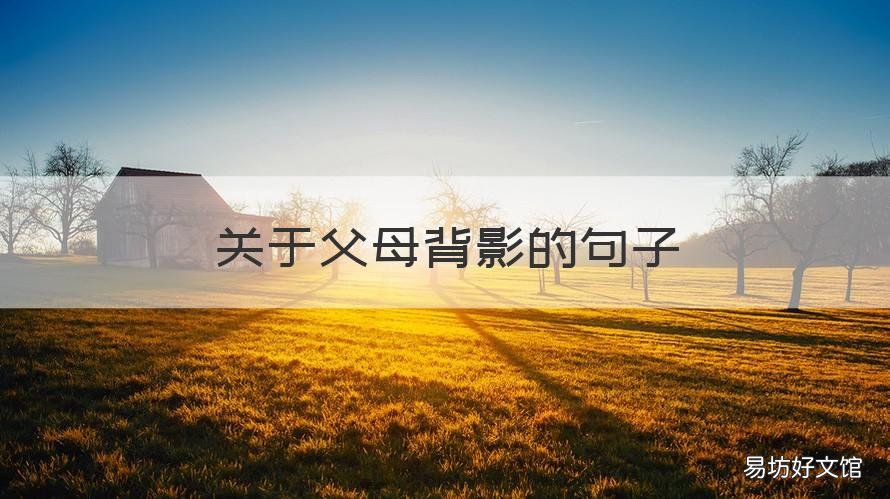 关于父母背影的句子 父母年迈的背影的心酸句子