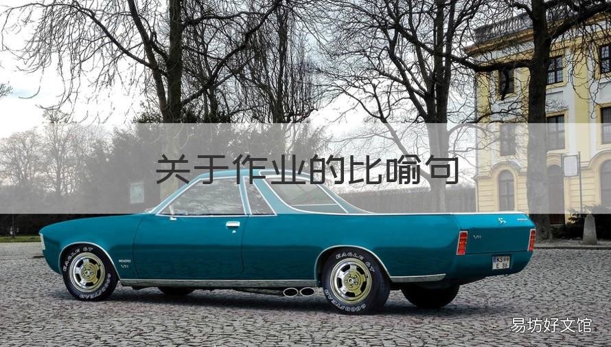 关于作业的比喻句 认真写作业用一个比喻句