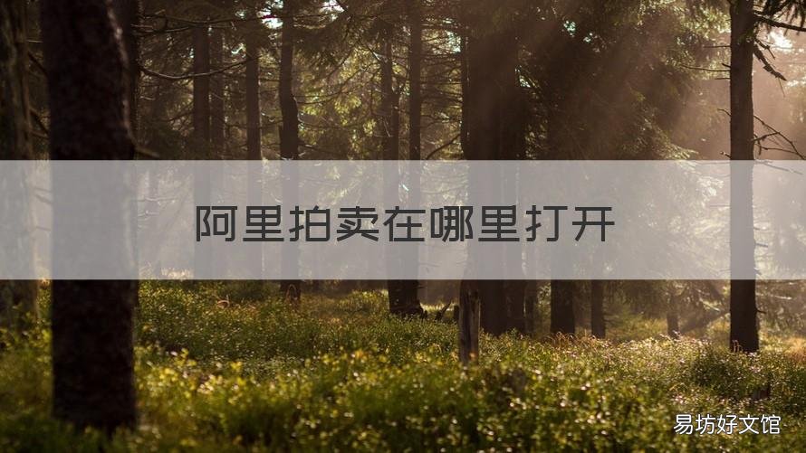 阿里拍卖在哪里打开 阿里拍卖的入口在哪里