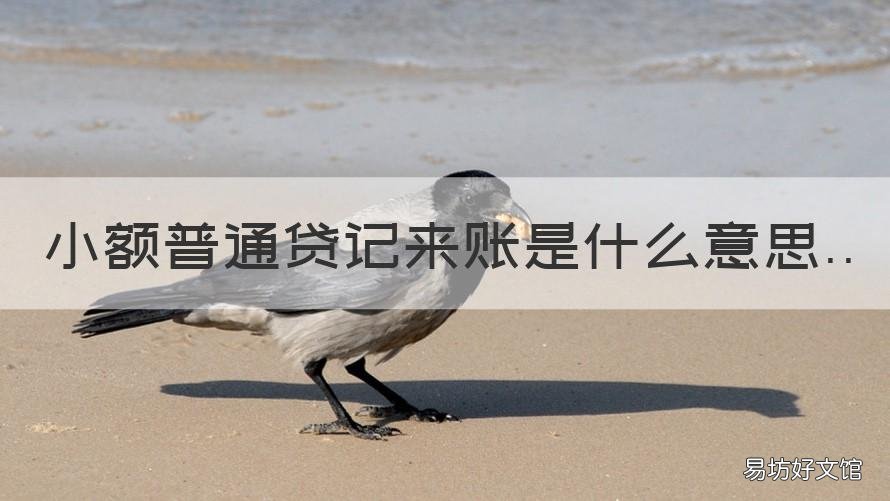 小额普通贷记来账是什么意思