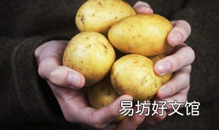 土豆亩产多少斤正常 土豆亩产有多少斤