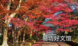 日本的由来 日本的由来笑话武大郎