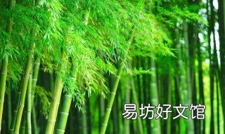 种竹子忌讳 在家种竹子的禁忌