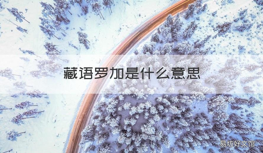 藏语罗加是什么意思 藏族的罗加是什么意思