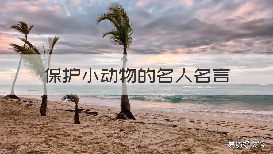 保护小动物的名人名言 保护小动物的名言名句