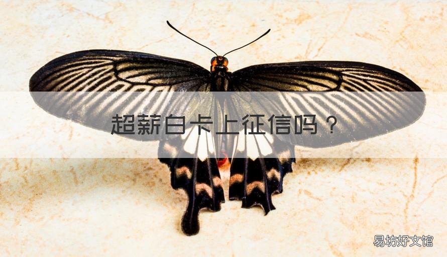 超薪白卡上征信吗 超薪白卡上征信吗是真的吗