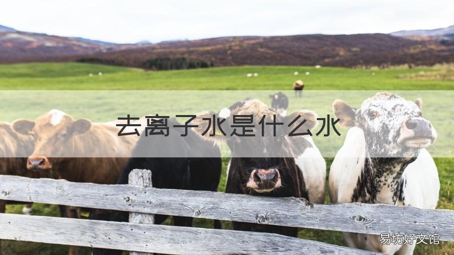 去离子水是什么水 去离子水是什么水价格