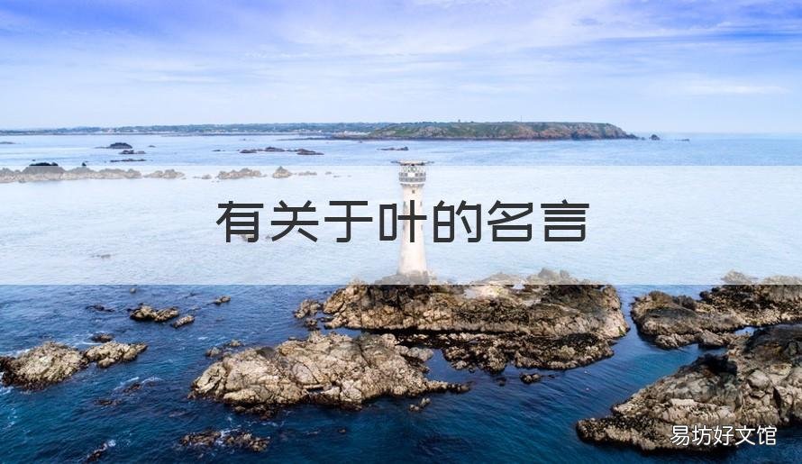 有关于叶的名言 关于叶的名句