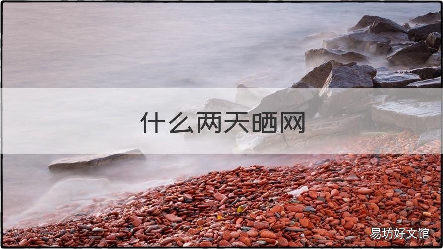什么两天晒网 什么两天晒网最好