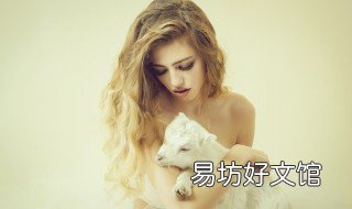 如何和狗狗初次接触 如何和狗狗初次接触视频