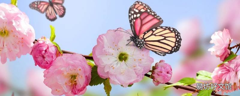 百花齐放是什么季节 百花齐放是几月份