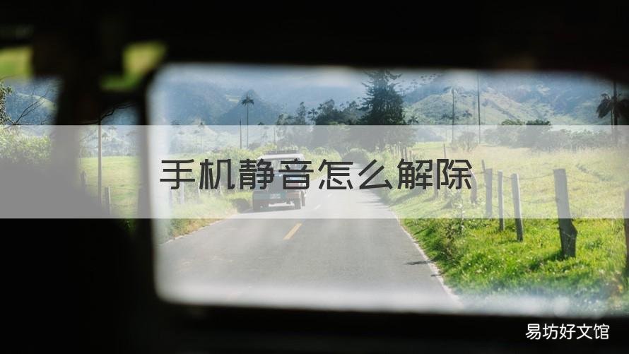 手机静音怎么解除 oppo手机静音怎么解除