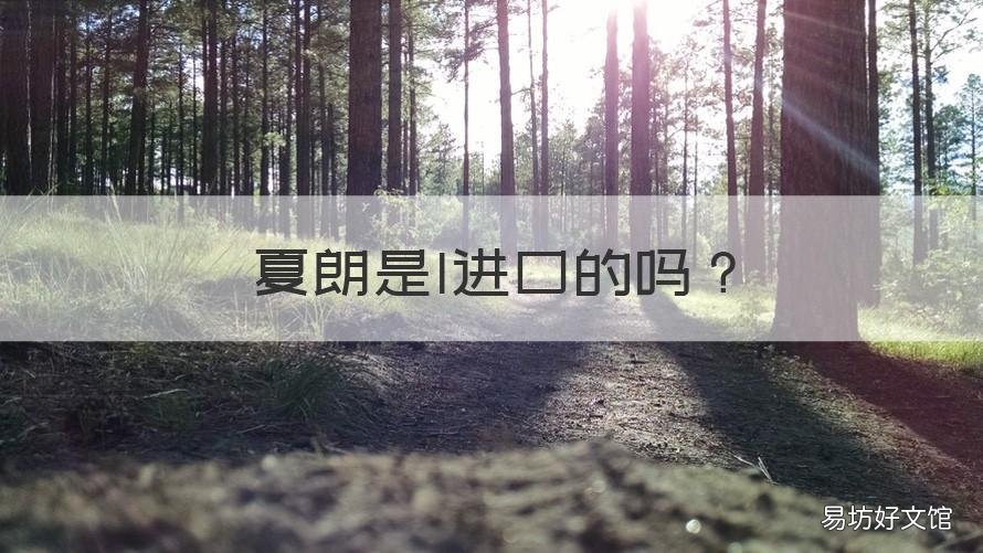 夏朗是I进口的吗 夏朗都是进口的吗?