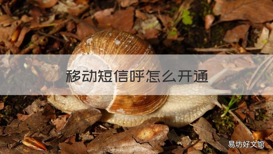 移动短信呼怎么开通 中国移动短信呼怎么开通