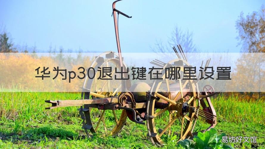 华为p30退出键在哪里设置 华为p30返回键设置在哪里设置