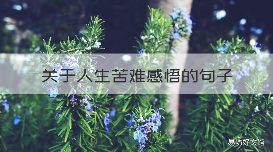 关于人生苦难感悟的句子 对人生苦难的看法的唯美句子