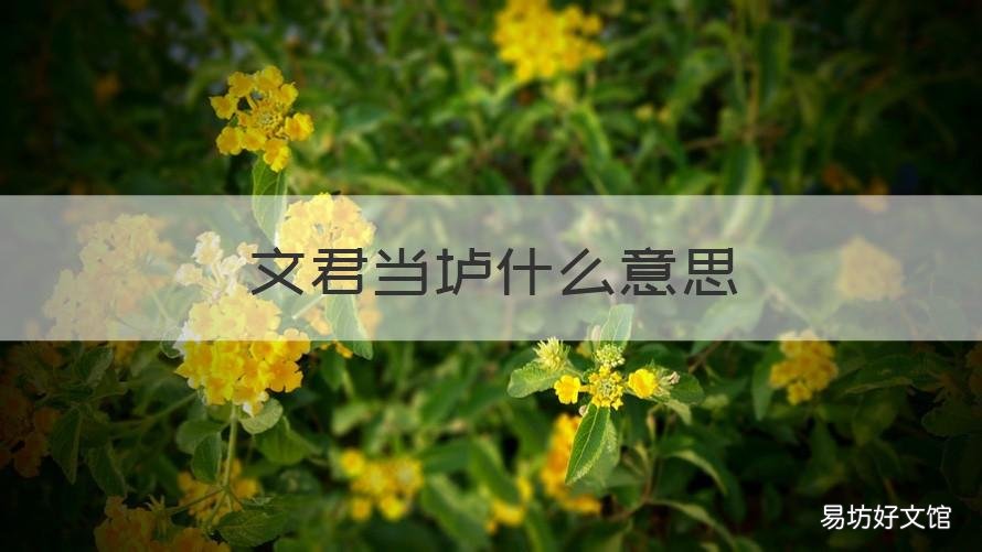 文君当垆什么意思 文君当垆的典故